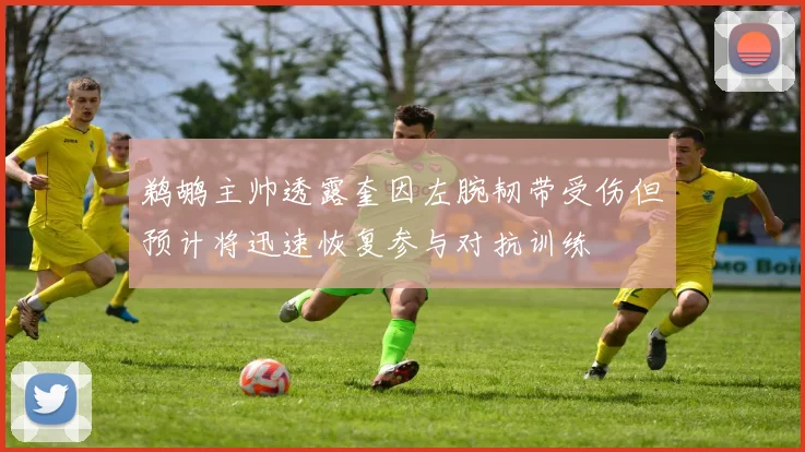鹈鹕主帅透露奎因左腕韧带受伤但预计将迅速恢复参与对抗训练